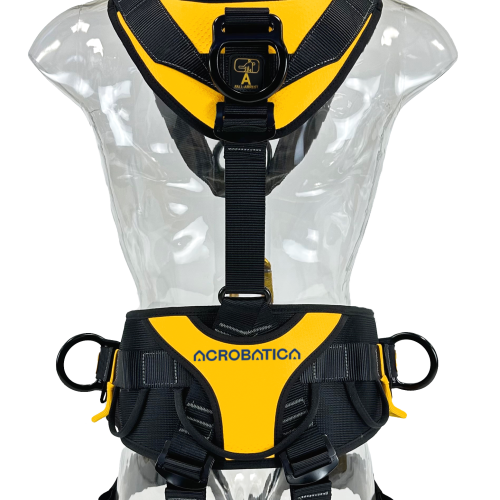 Safety harness12